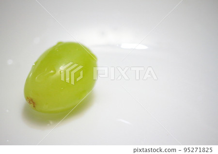 fresh shine muscat photography fresh shine muscat photography 95271825