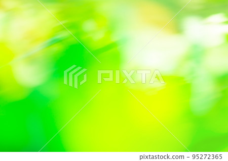 Bokeh sun and blur green tree background 95272365