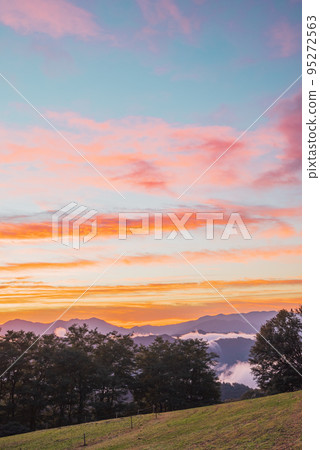 [秋天]大峰高原的黎明[北安濠郡池田町] 95272563