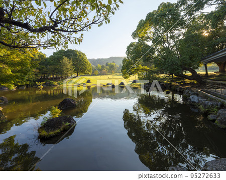 被晨光照亮的春日野公園風景 95272633