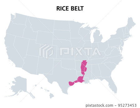 Rice Belt of the United States, political map. Region in the southern U.S. states, that grow a significant portion of the nations rice crop, including Arkansas, Louisiana, Mississippi and Texas. Rice Belt of the United States, political map. Region in the southern U.S. states, that grow a significant portion of the nations rice crop, including Arkansas, Louisiana, Mississippi and Texas. 95273453