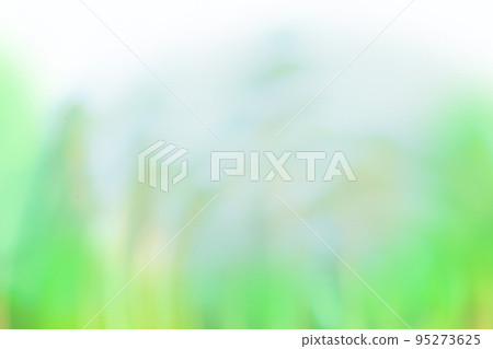 Colorful green defocused texture for your design. Blurred green natural background with bokeh 95273625
