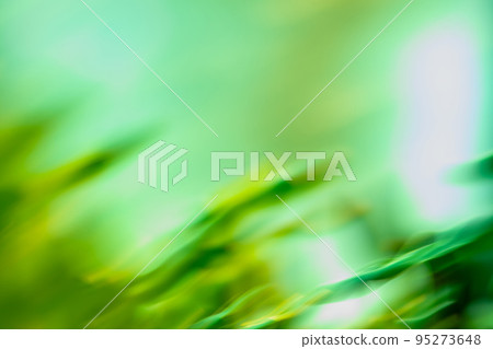 Bokeh sun and blur green tree background. 95273648