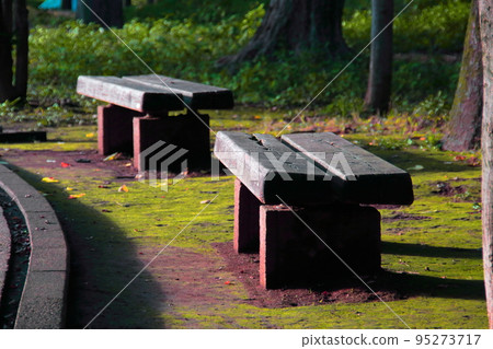 Walkway and park benches 95273717