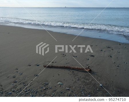 Scenery with driftwood Scenery with driftwood 95274710