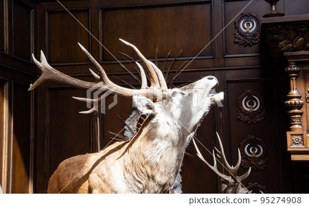 Stuffed brown deer with large antlers, wild animal Stuffed brown deer with large antlers, wild animal 95274908