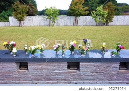 Forest graveyard 95275954