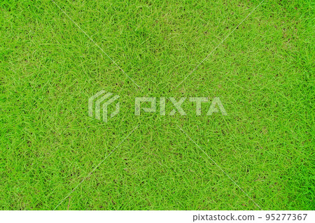 Green grass texture background, Green lawn, Backyard for background, Grass texture, Green lawn desktop picture, Park lawn texture. 95277367