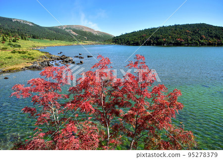 福島縣秋天的淨土平鹿沼徒步旅行 95278379