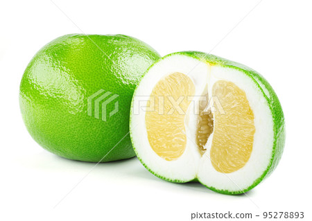 Citrus Sweetie or Pomelit, oroblanco isolated on white background close-up. 95278893