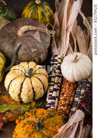 Autumn still life with pumpkin 95279428