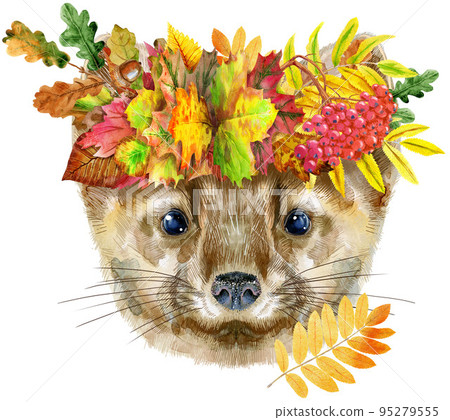 Watercolor portrait of a sable with wreath of autumn leaves 95279555