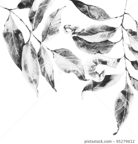 Twigs with dry leaves 95279812