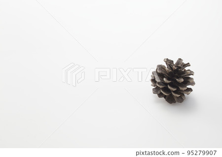 White background with pine cones White background with pine cones 95279907