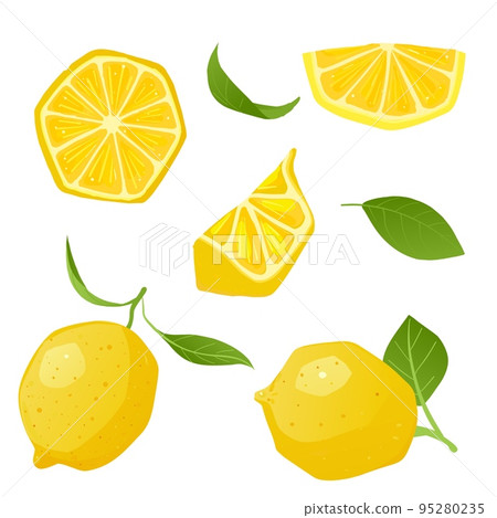 Set of lemon slice lemon fruit and leaf on white background. Vector illustration. 95280235