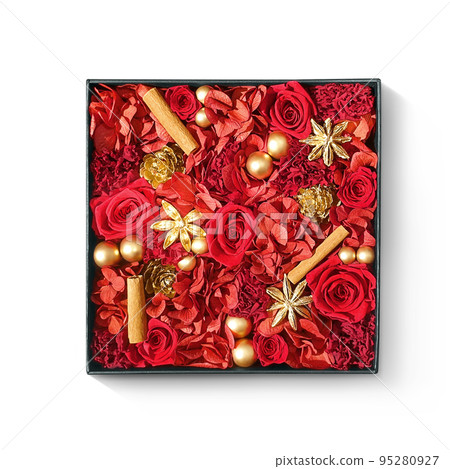 Preserved flower rose illustration real Preserved flower rose illustration real 95280927