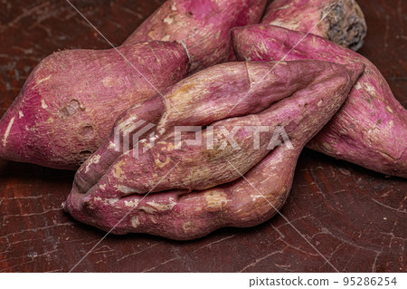 sweet potato tuberous roots sweet potato tuberous roots 95286254