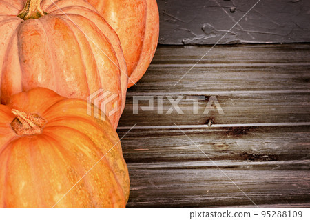 Three ripe orange pumpkins on a black background. Harvest, pumpkins. Three ripe orange pumpkins on a black background. Harvest, pumpkins. 95288109