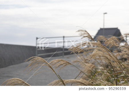 茨城縣日立市初崎海岸的津神社 茨城縣日立市初崎海岸的津神社 95290339