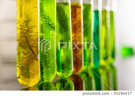 Algae biofuel has a low carbon footprint. 95290417