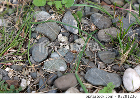 stone, gravel, ground, pebble, block, stone, outdoor, nature stone, gravel, ground, pebble, block, stone, outdoor, nature 95291236