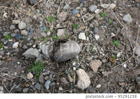 stone, gravel, ground, pebble, block, stone, outdoor, nature stone, gravel, ground, pebble, block, stone, outdoor, nature 95291238
