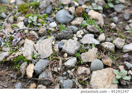 stone, gravel, ground, pebble, block, stone, outdoor, nature stone, gravel, ground, pebble, block, stone, outdoor, nature 95291247