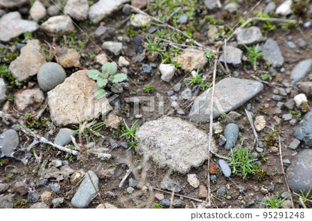 stone, gravel, ground, pebble, block, stone, outdoor, nature stone, gravel, ground, pebble, block, stone, outdoor, nature 95291248
