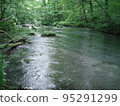 Oirase mountain stream (Aomori Prefecture) 95291299