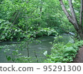 Oirase mountain stream (Aomori Prefecture) 95291300