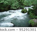Oirase mountain stream (Aomori Prefecture) 95291301