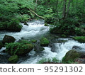Oirase mountain stream (Aomori Prefecture) 95291302