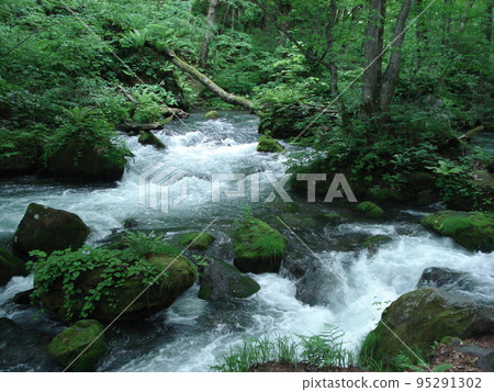 Oirase山間溪流(青森縣) Oirase山間溪流(青森縣) 95291302