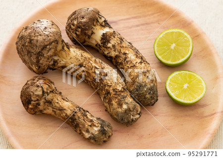 Matsutake Matsutake 95291771