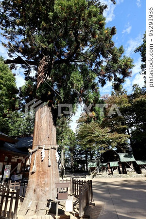 穗高神社 95291936