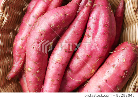 Close up of raw sweet potato in a bowl Close up of raw sweet potato in a bowl 95292045