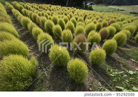 Alignment Alignment 95292086