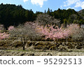日本鄉村，春天的風景 95292513
