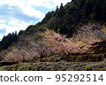 日本鄉村，春天的風景 95292514
