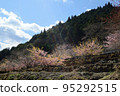 日本鄉村，春天的風景 95292515