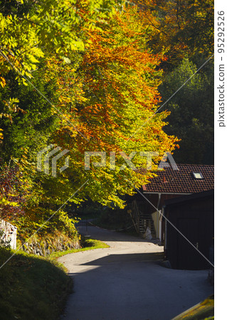 小鎮，德國，德國巴伐利亞，施旺高鎮，小さな町、ドイツ、バイエルン、ドイツ、シュヴァンガウ、town 95292526