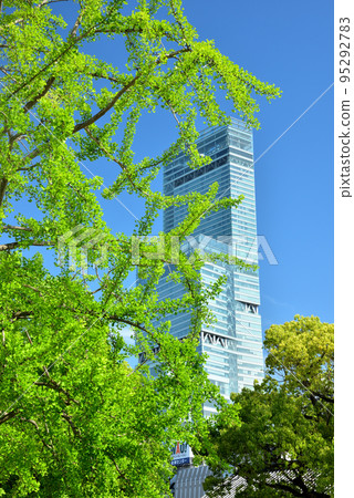 《大阪市》摩天大樓阿倍野Harukas 95292783