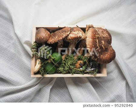 Matsutake "Japanese style image" Matsutake "Japanese style image" 95292840