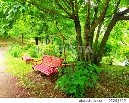 red bench in the park 95292855