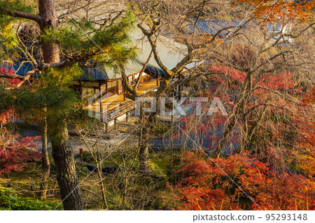 京都的秋天嵯峨嵐山世界遺產天龍寺秋葉望京之丘 京都的秋天嵯峨嵐山世界遺產天龍寺秋葉望京之丘 95293148