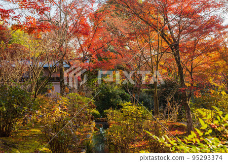 京都嵯峨嵐山的秋天 紅葉世界遺產天龍寺 95293374