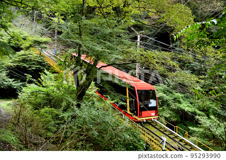 高野山電纜/不動坂道（左）[和歌山縣伊東郡高野町] 95293990