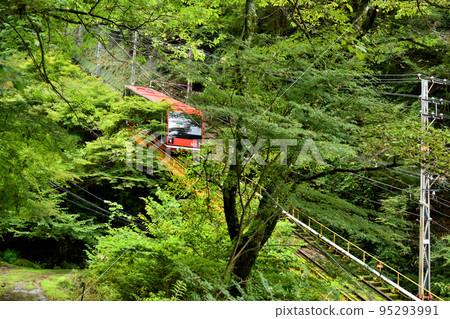 Koyasan Cable/Fudosakamichi (left) [Koya-cho, Ito-gun, Wakayama Prefecture] 95293991