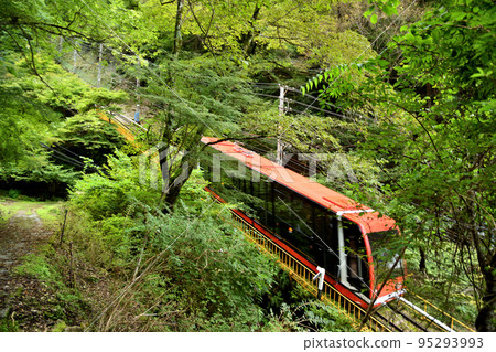 高野山電纜/不動坂道（左）[和歌山縣伊東郡高野町] 95293993