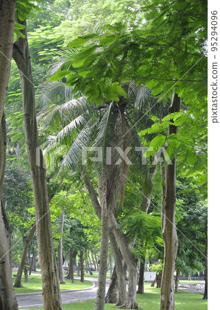  公園 95294096